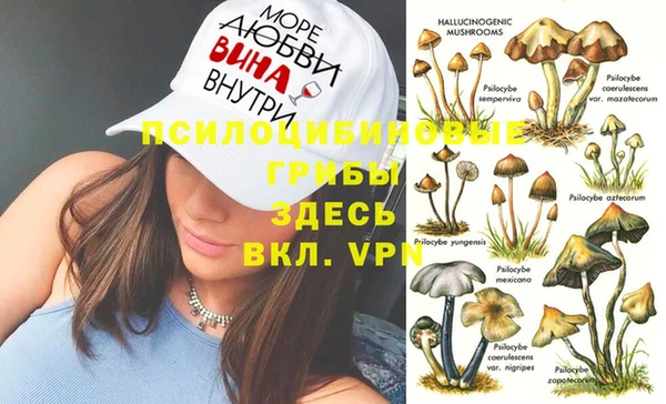 ГАЛЛЮЦИНОГЕННЫЕ ГРИБЫ Лабытнанги
