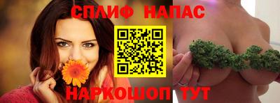 ешки Гагарин