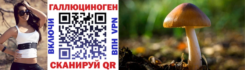гидра ссылки  закладки  Малгобек  Галлюциногенные грибы ЛСД 
