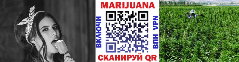 Канабис OG Kush  Малгобек 