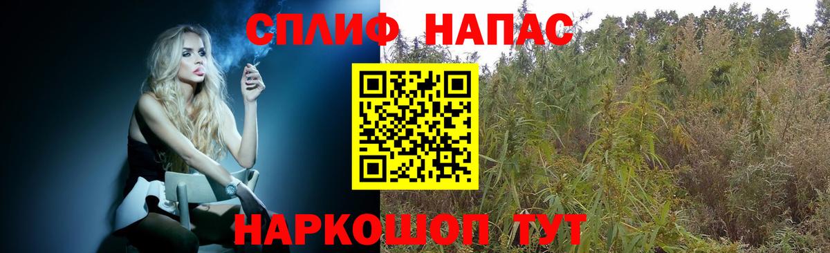 Марихуана гибрид Малгобек
